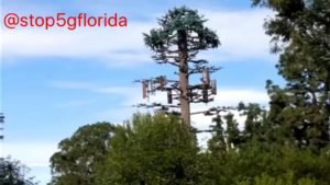Cell Towers Disconnect Our Harmony With Earth